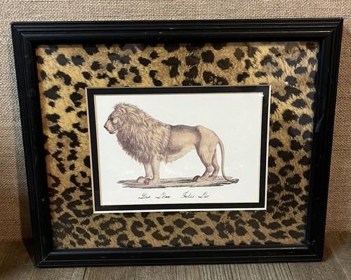 YELLOWKORNERフォトアート「CARA LION」 Photo Lion - Purchase of Lion Photography in Limited Editions