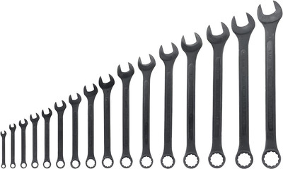 Neiko 03574A Jumbo Combination Wrench Set | 16 Piece | SAE | 1/4  to 1-1/4  | Ra