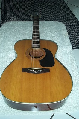 Vintage, 1969, Ventura, C. Bruno & Sons, Inc., Acoustic, Guitar, Case,Model V-10