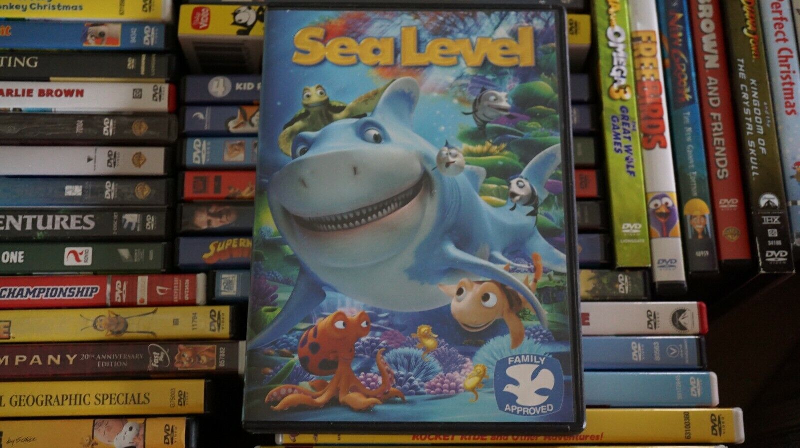 Sea Level (DVD, 2012) Free Shipping 31398149934| eBay Sea Level (DVD, 2012) Free Shipping 31398149934| eBay