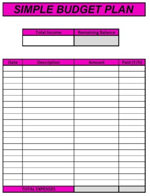 Personal Simple Budget Plan for Beginners: PDF/Spreadsheet/Both Read Description