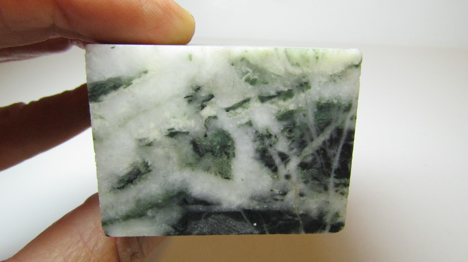 Storm Scene Jadeite lapidary rough rock from central California