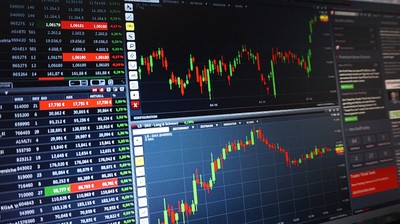 Forex kingle hedger reviews