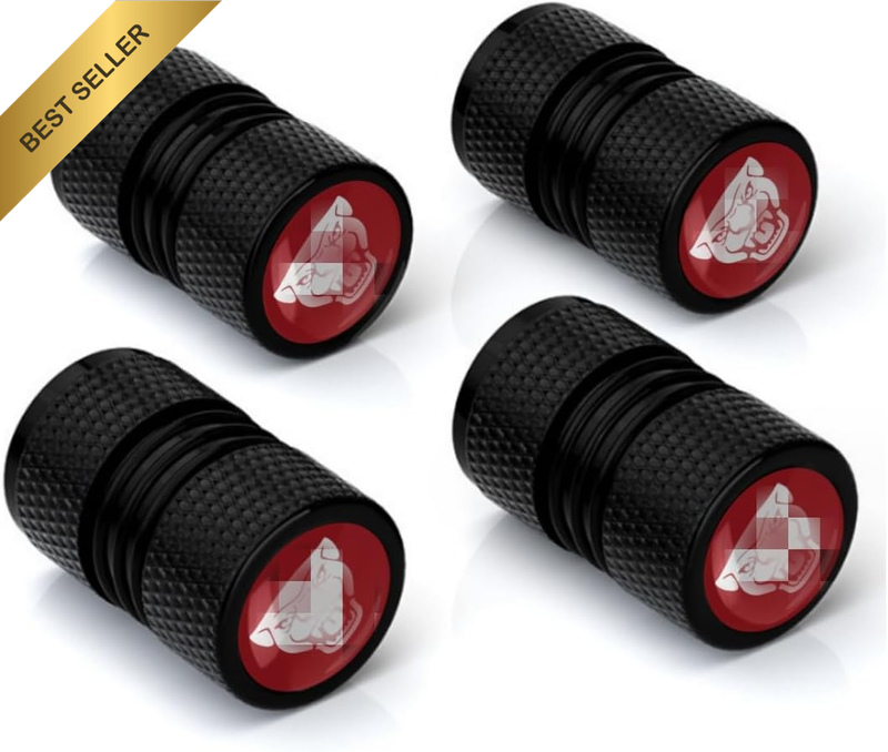 Car Wheel Tire Valve Stem Caps Tire Air Caps Cover Compatible with XE XEL XF XFL