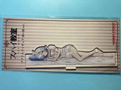 Monica 1 Spy Classroom Acrylic Figure St  Co-Sleeping