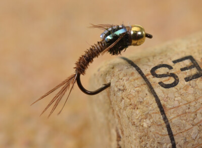 12 Flies Quasimodo Pheasant Tail Nymph Fishing Flies-Mustad Signature Fly Hooks