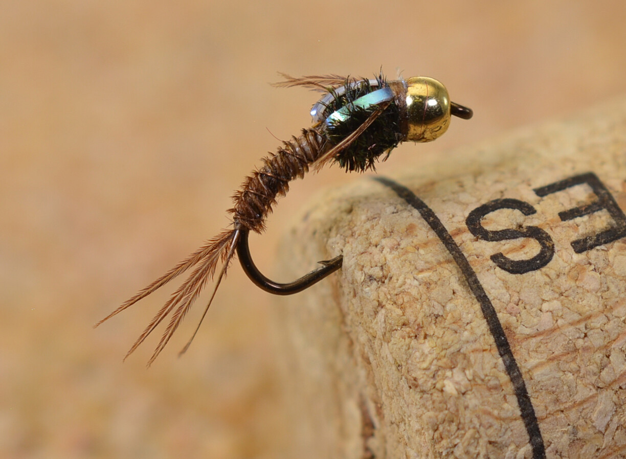 Set fly