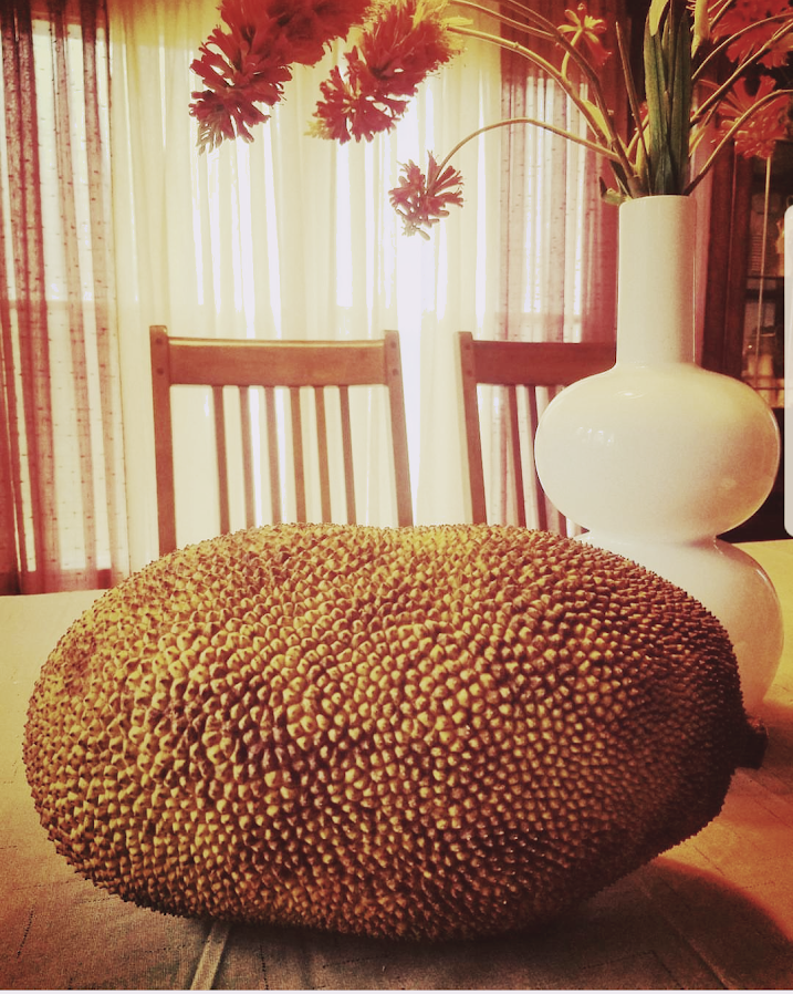 2 Jackfruit(Artocarpus Heterophyllus) 8