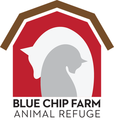 Blue Chip Farm Inc.