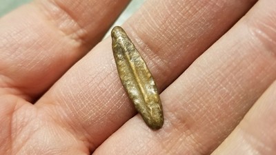 Ancient Greek PROTO-MONEY, Arrowhead/Leaf Type, 6th - 5th Century BC, Black Sea