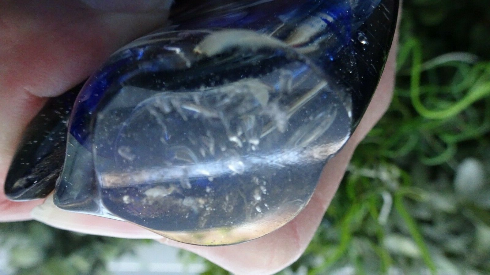 Signed Studio Art Glass FISH Figurine Blue & Black