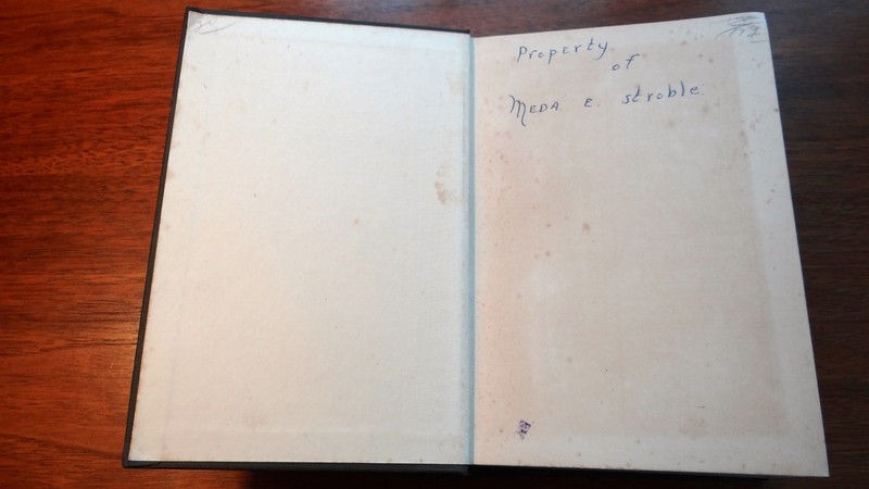 1917 THE COMING DEMOCRACY by Hermann Fernau H/C