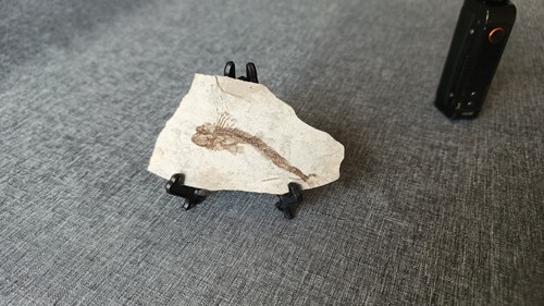 Fotos del artículo de un comprador verificado