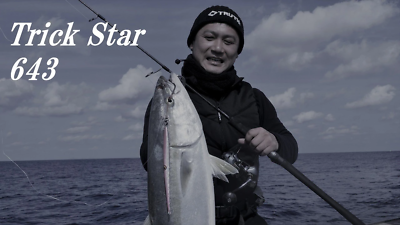 TRUTH JAPAN トゥルースジャパントリックスター 643 TRUTH JAPAN Trick Star 643 (Jiging Spinning Model for