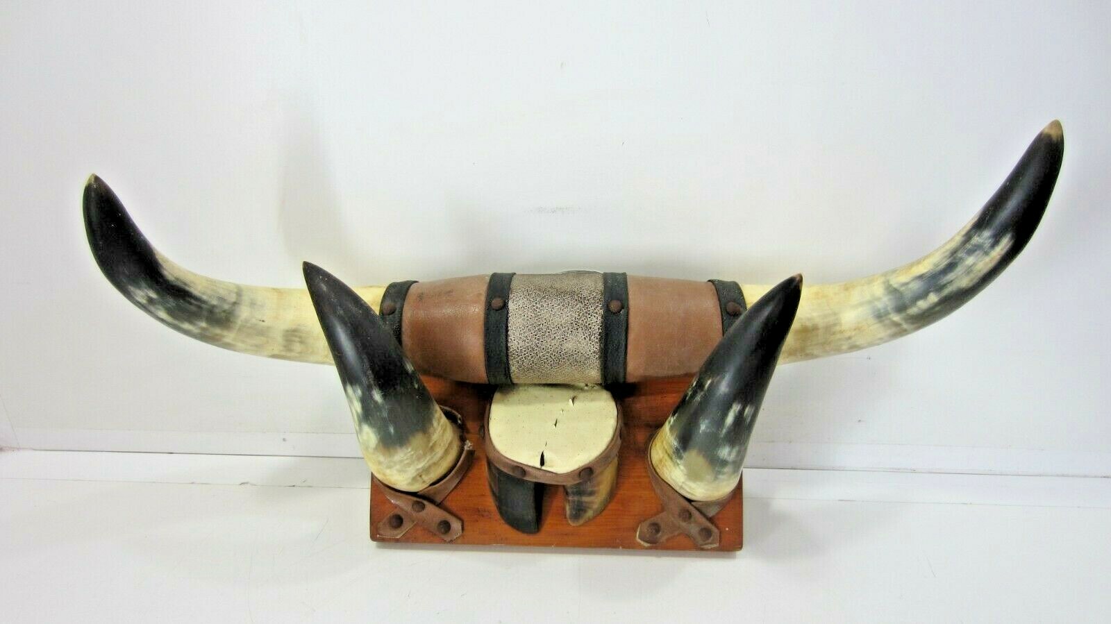 Mounted Horne ロングホーン　壁掛け　角　ウエスタン　カウボーイ＊8 61e+wFjqEJL._UF1000,1000_QL80_.jpg