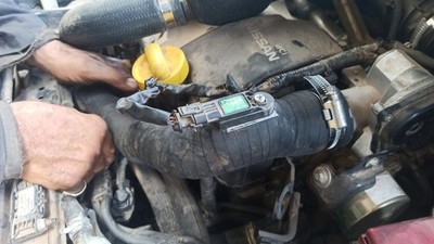 Fotos del artículo de un comprador verificado