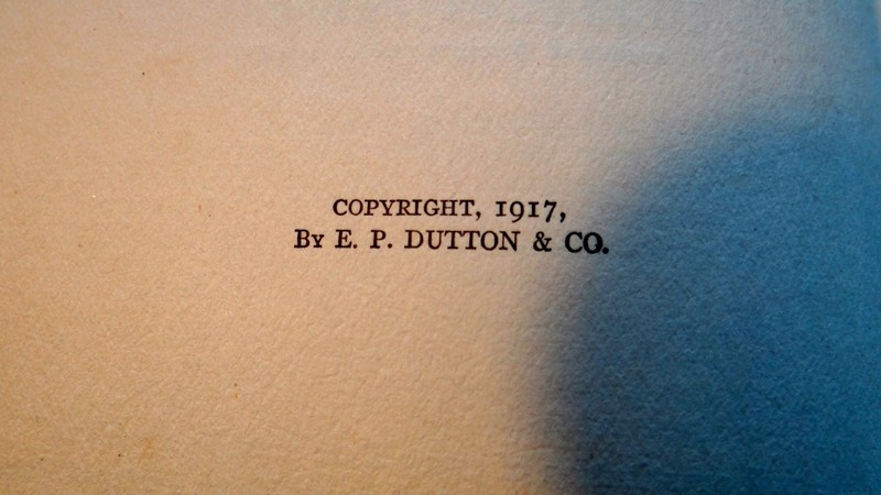 1917 THE COMING DEMOCRACY by Hermann Fernau H/C