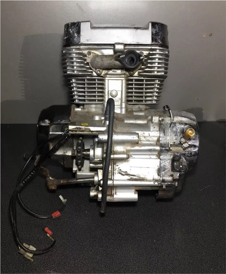 Quadzilla SMC Ram Apache Barossa 250cc 250e Full Running Engine