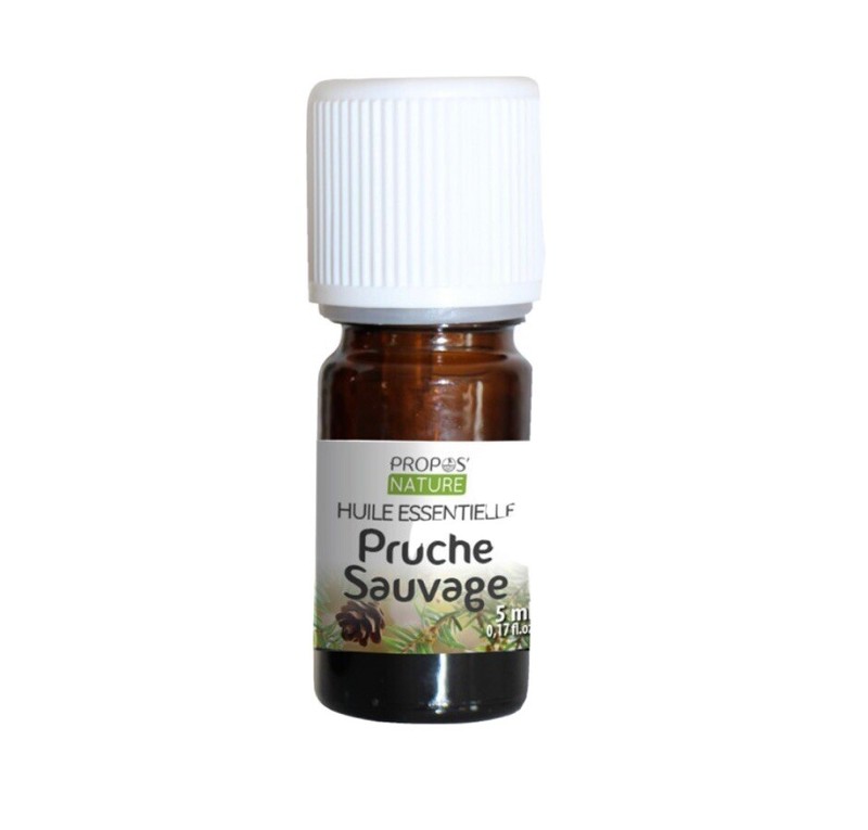 Huile Essentielle De Pruche Sauvage (Tsuga Canadensis) 5cl