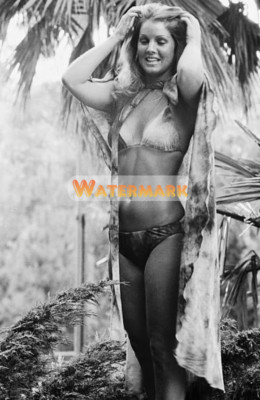 Young PRISCILLA PRESLEY Sexy Bikini ** HI-RES Fine Art Archival Print (8.5''x11'')
