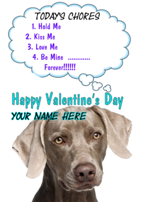 Weimaraner Dog tv380 Fun Cute valentines Day Card A5 Personalised