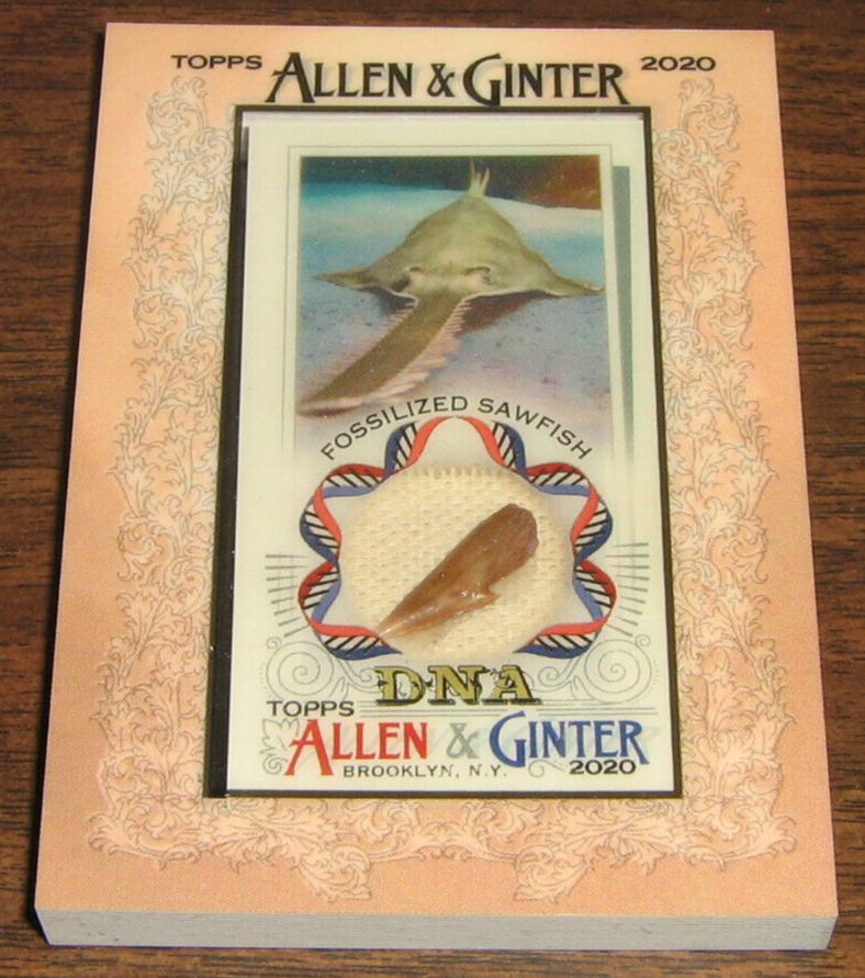 allen & ginter dna relic 化石 allosaurus allen & ginter dna relic 化石 allosaurus - メルカリ