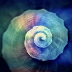 spiral*arts