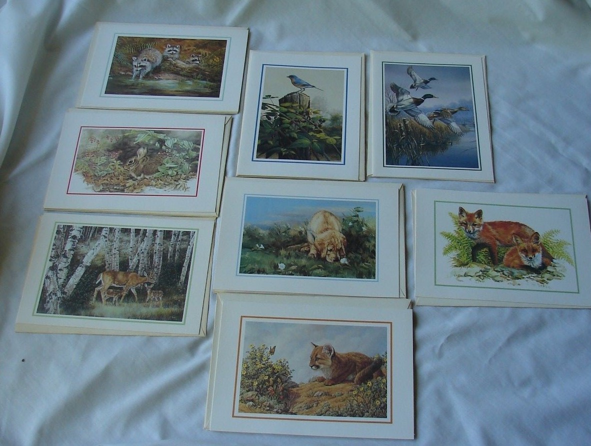 Box of 13 Assorted Blank Note Cards with Envelopes Illinois Wildlife Federation