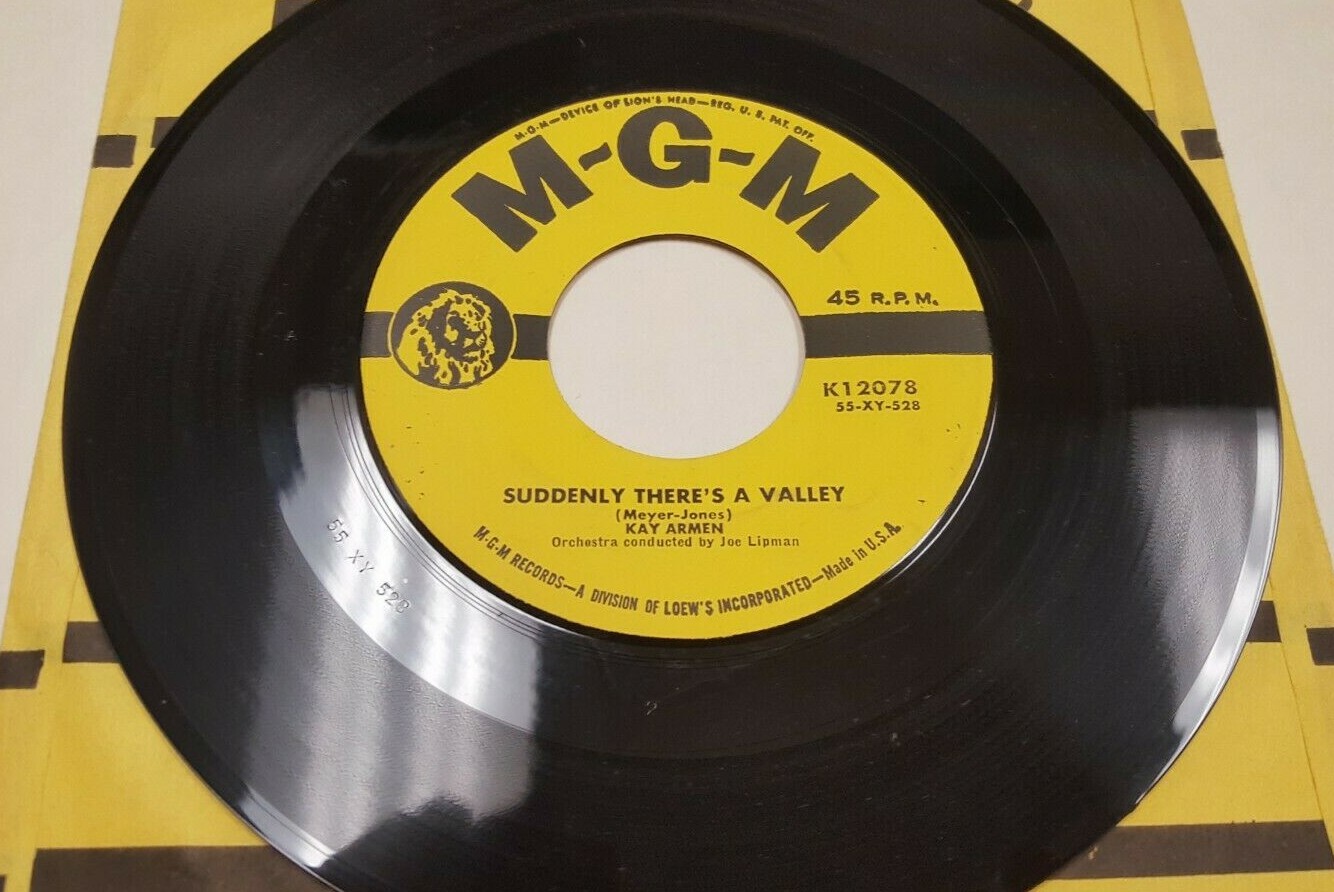 Nas & DamianMarley LP HIPHOP Record レコード NAS & DAMIAN