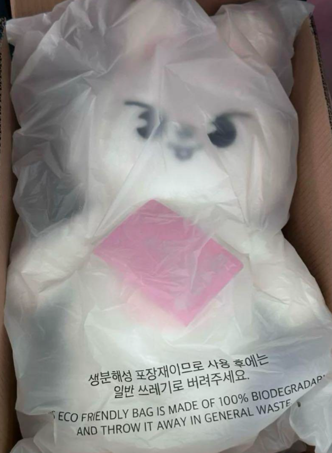 Stray Kids SKZOO Leebit Official Plush Teddy Bear Ver. 5