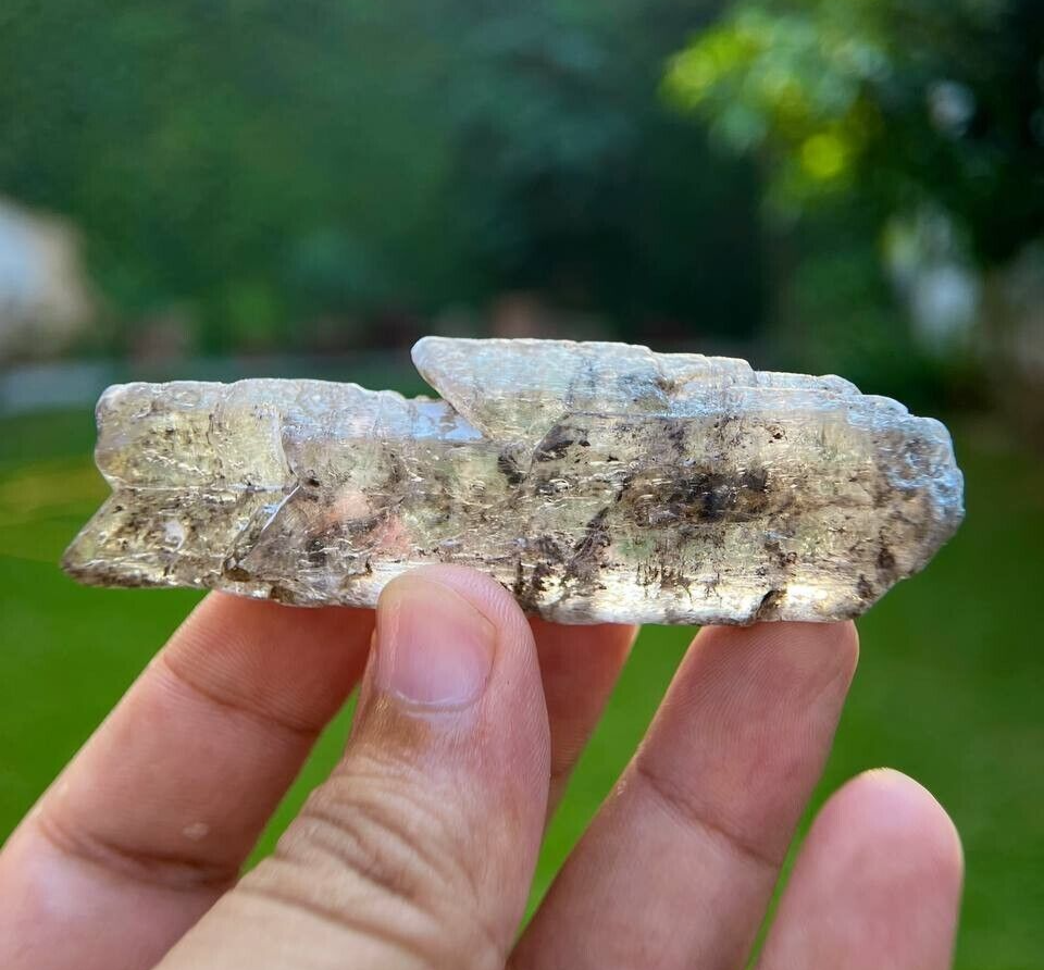 48 Gram Natural Fish Shape Black Carbon Included Inside Quartz From Pakistan