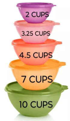 Tupperware Wonderlier Bowl 10 pc Set Matching Seals Lids New Classic