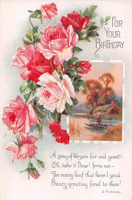 a originell vintage Birthday cards with flowers 1910 