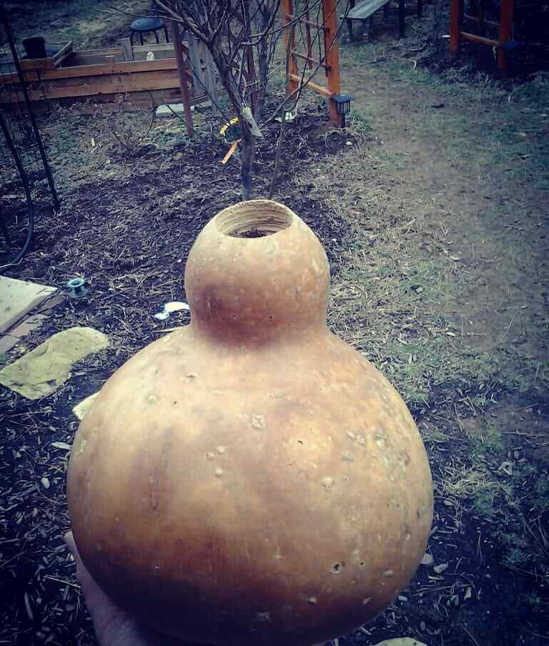 Professional Natural gourd shekere by KNOTTY SHEKERES