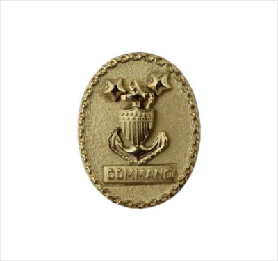 GENUINE U.S. COAST GUARD BADGE: ENLISTED ADVISOR E9 COMMAND: MASTER - MINIATURE