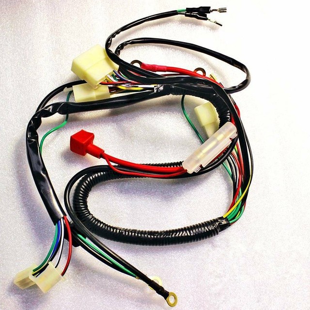 WIRING LOOM HARNESS Parts 200cc 250cc OFF-road Dirt Pit | Motorcycle