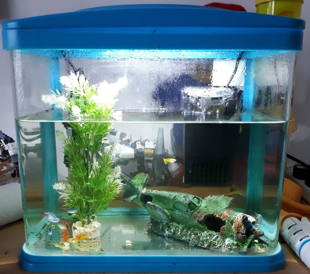 13 litre fish tank with 6 tropical fish, light, filter, heater, food