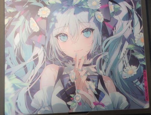 Wallhack SkyPAD SP-004 Hatsune Miku gaming mouse pad Glass Wallhack SkyPAD SP-004 Hatsune Miku gaming mouse pad Glass