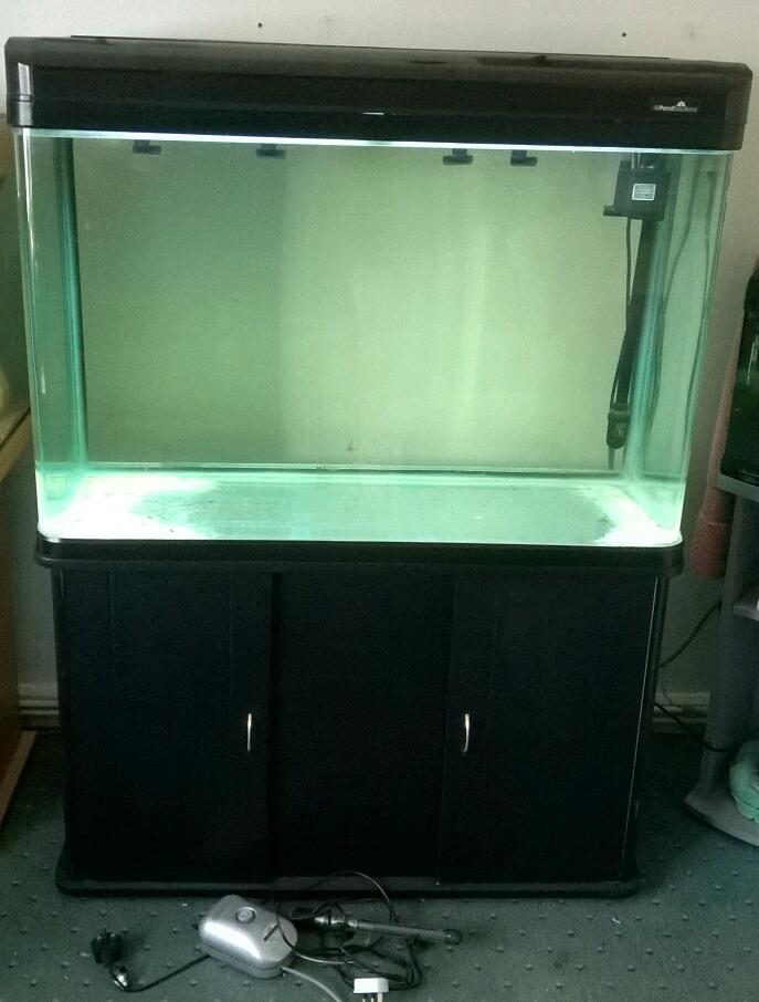 All Pond Solutions fish tank & stand (complete set up) 250 ...