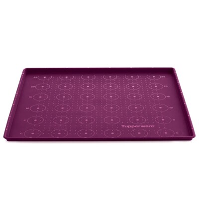 Tupperware Silicone Baking Form With Rim New Free Shipping