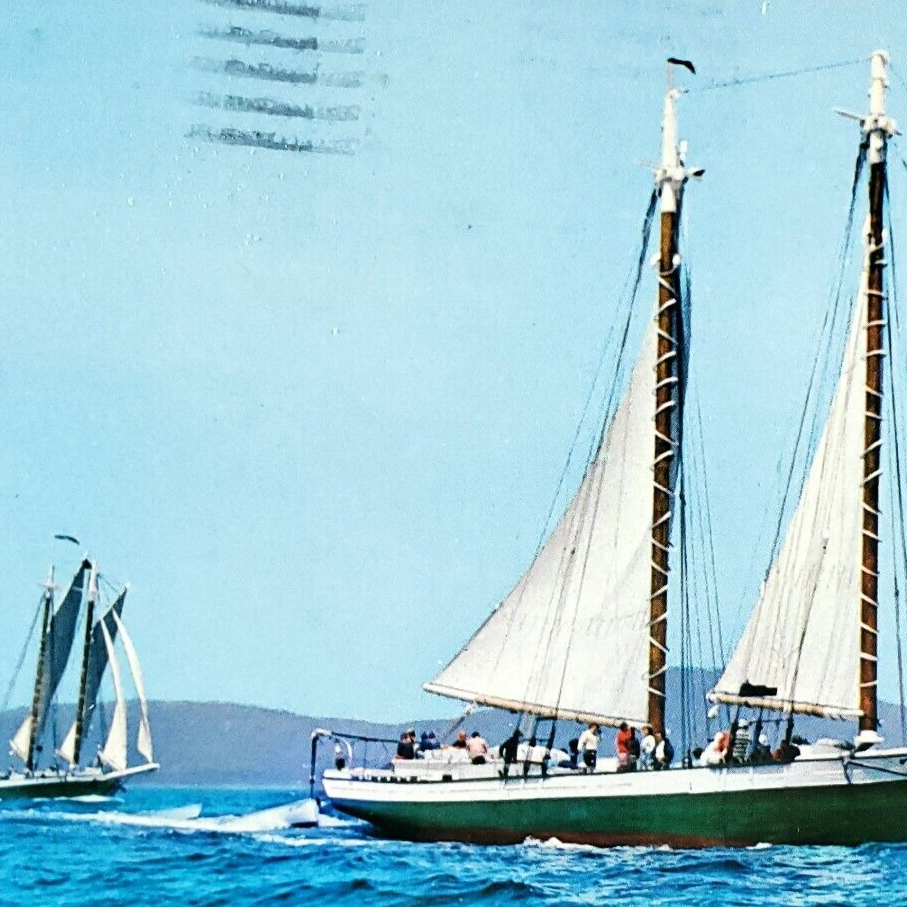 Maine Windjammer Sailboat Schooner Postcard 1980s Sailing Ship Camden Boat A2485