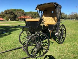 Carriage Meaning