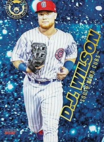 2021 Choice South Bend Cubs - D.J. Wilson #32