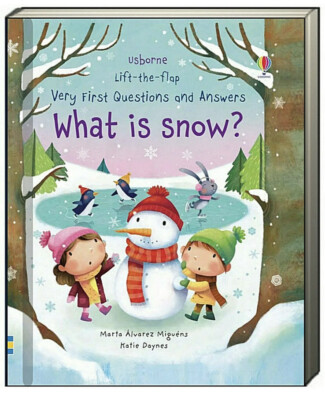 Usborne Lift Flap Very First Questions and Answers What Is Snow? Brand New