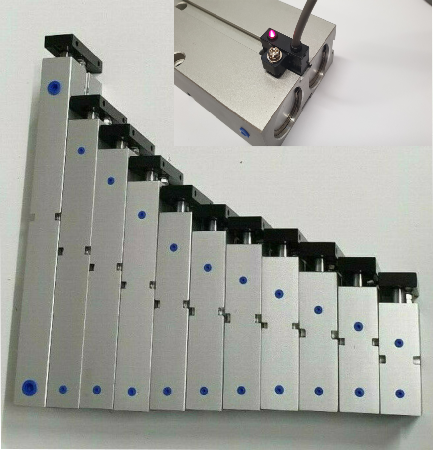 Parallelkolbenstangen Pneumatikzylinder Bohrung 10 mm 10-200mm Hub Endschalter