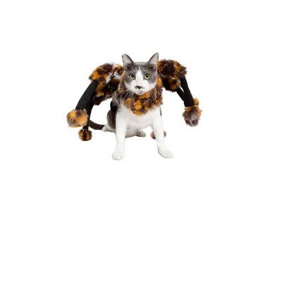 Spider Costume for Cats Drama to any evening walk or house party Large