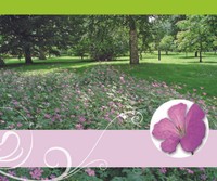 Ohne Text – Minikarte– 9 x 7,8 cm – mit Briefumschlag – Blumenwiese