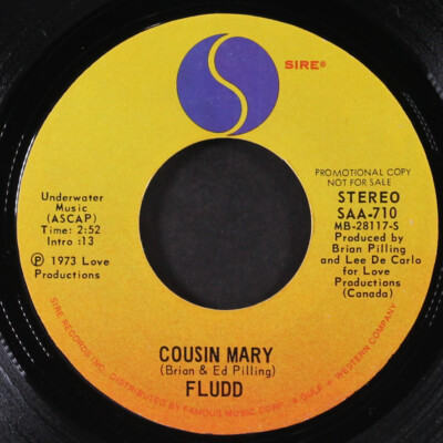 FLUDD: cousin mary / homemade lady SIRE 7'' Single 45 RPM