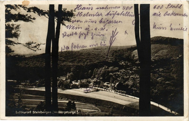 Cpa Ak Luftkurort Steinbergen (865159)