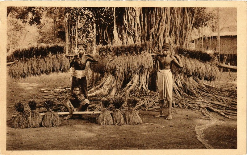 Cpa Ak Bandoeng Paddie Dragers. Indonesia (169923)